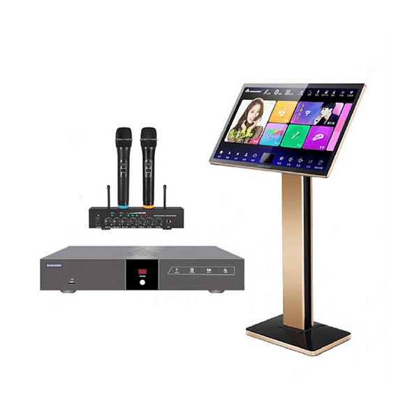 22" inch touch screen karaoke system with 2 wireless mics