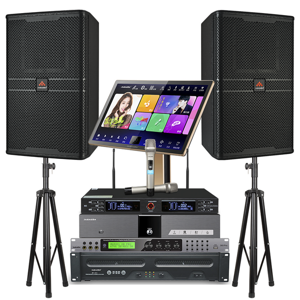 Luxury Professional Karaoke System Set